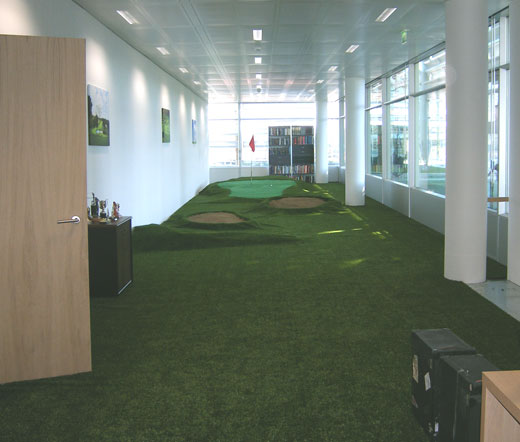 Indoor Golf at Canon Office